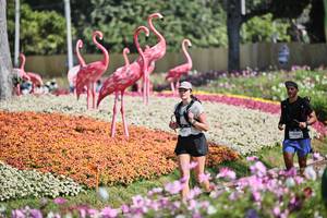 BIB: 
                            <button type="button" onclick="openModal(27793185)" class="btn btn-primary btn-sm float-right btn-popup" data-toggle="modal" data-target=".modal-high-quality">
                        <i class="fas fa-shopping-cart"></i> Add to Cart
                    </button>
                                            <button type="button" onclick="isThisMe(27793185, true)" class="btn btn-success btn-sm float-right btn-popup btn-isme hidden" data-toggle="tooltip" data-placement="bottom" title="นี่คือรูปของคุณใช่ไหม คลิกที่นี่เพื่อเอาเข้าอัลบั้ม">
                        <i class="fas fa-plus"></i> Add to album
                    </button>
                    <button type="button" onclick="isThisMe(27793185, false)" class="btn btn-warning btn-sm float-right btn-popup btn-isnotme hidden">
                        <i class="fas fa-ban"></i> Remove from album
                    </button>